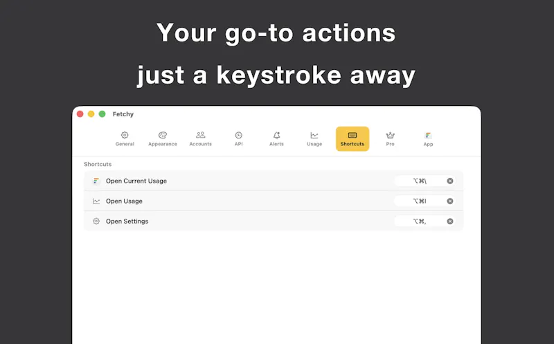 Fetchy: AI Usage Menu Bar screenshot 9