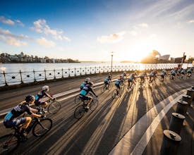 Zafiri gallery image