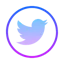 Faking Fake Tweets