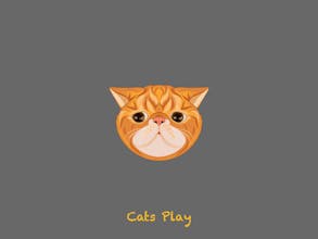 Cats Play gallery image