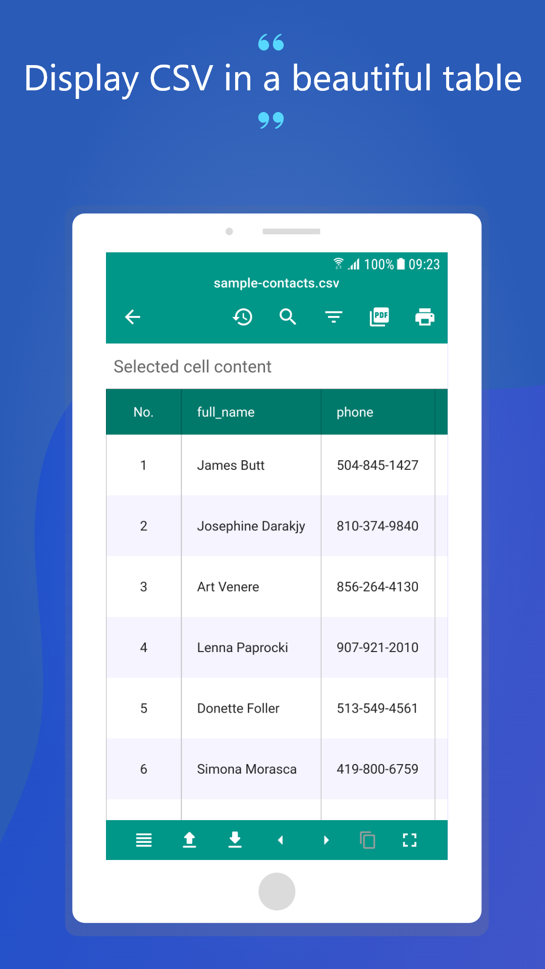 Smart csv viewer gallery image