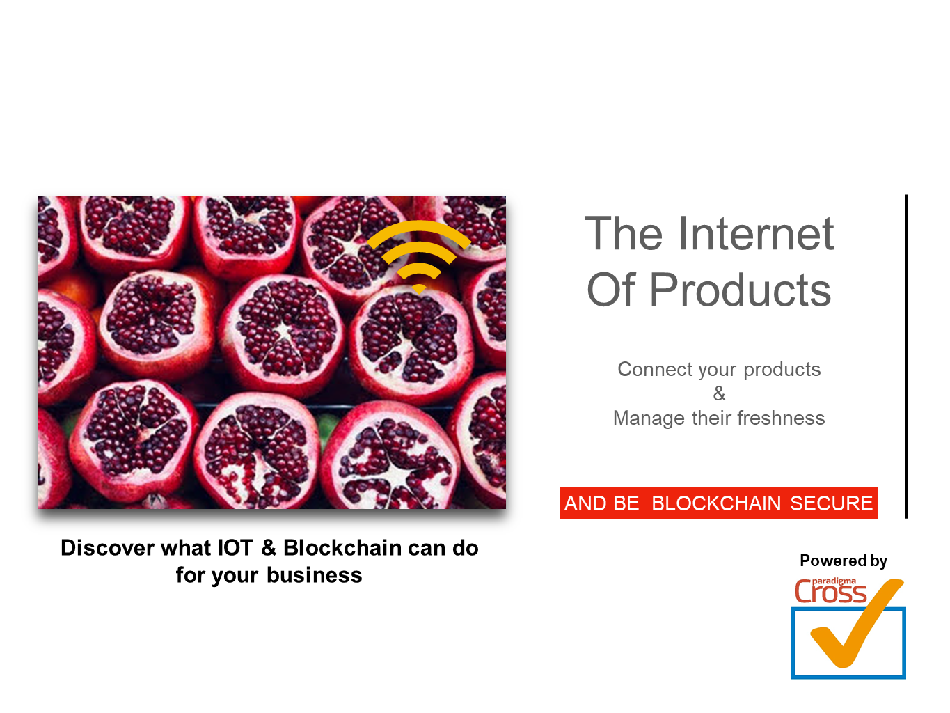 Paradigma CrossCheck gallery image