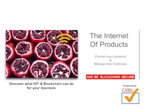 Paradigma CrossCheck gallery image