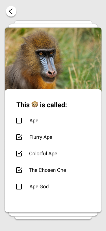 Quizium gallery image