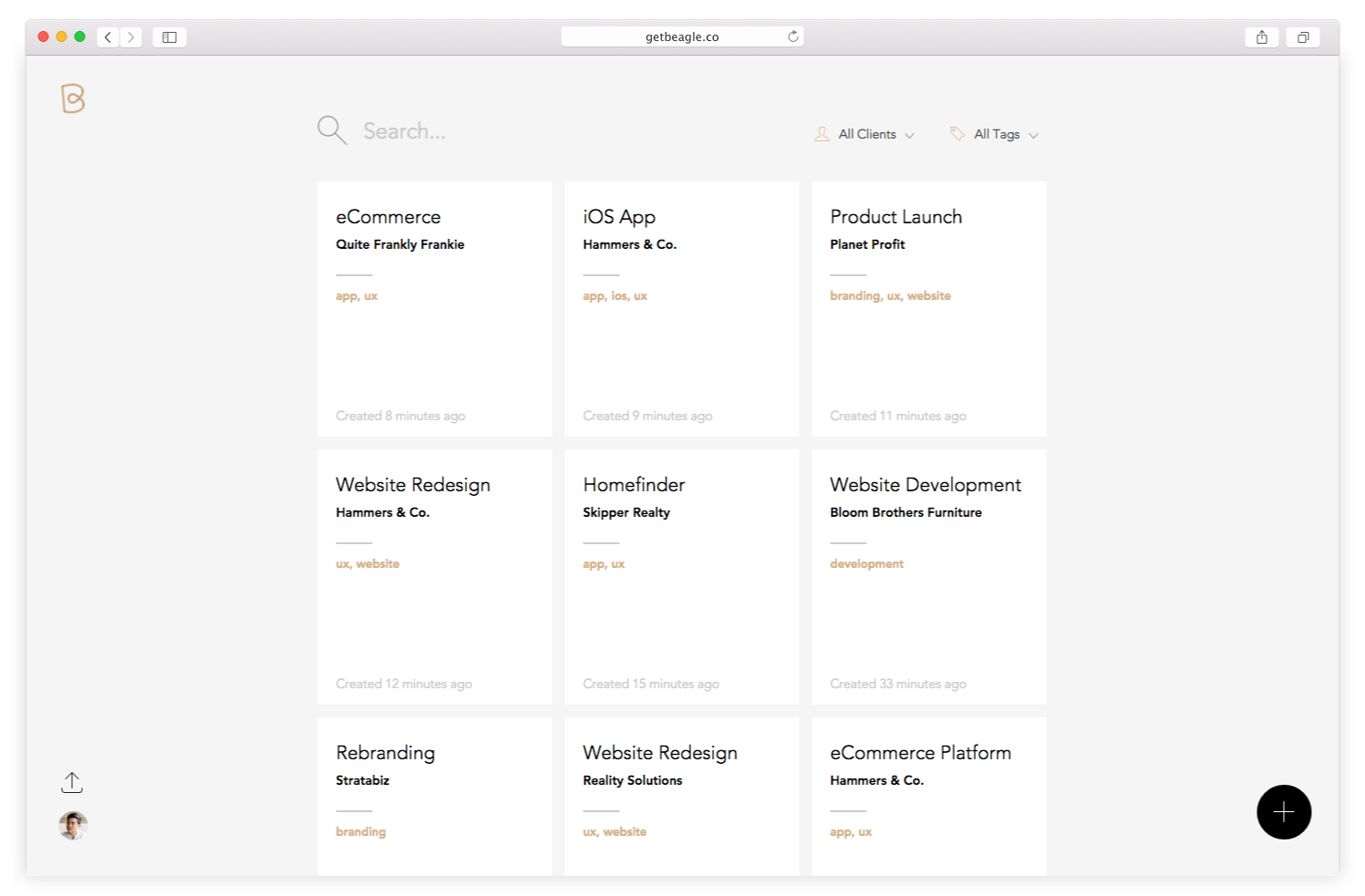 Beagle gallery image