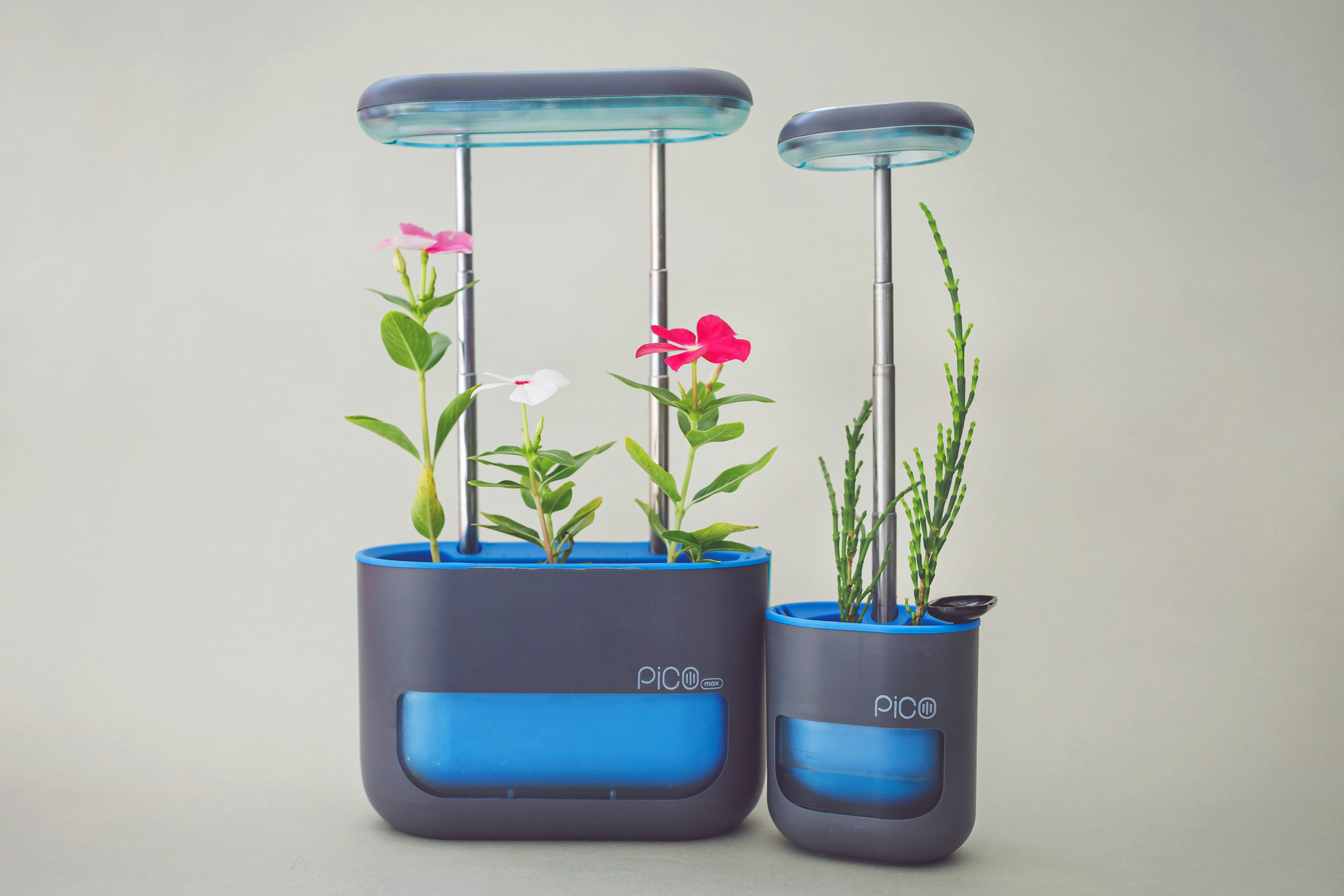 Pico Max gallery image