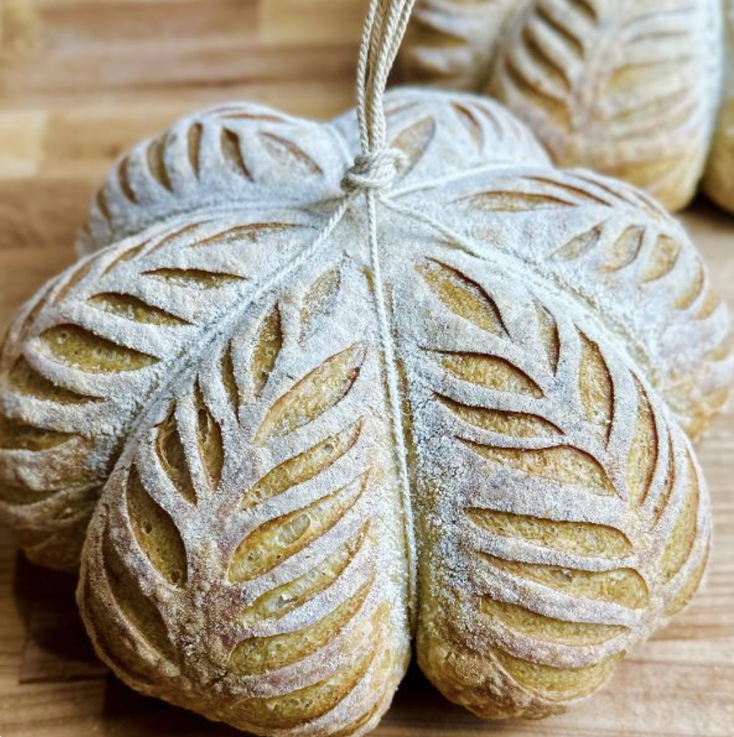 Caterlush gallery image