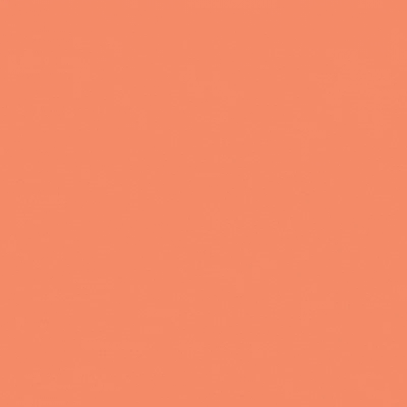 No Code Quiz & Trivia Maker