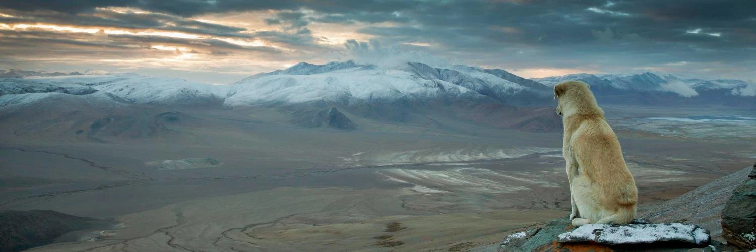 Stuart McKeown cover