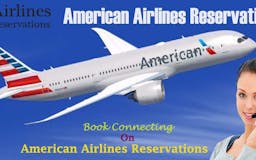 American Airlines Reservations media 3