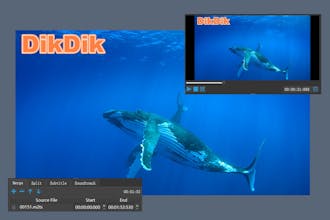 DikDik 4.6.0.0 gallery image