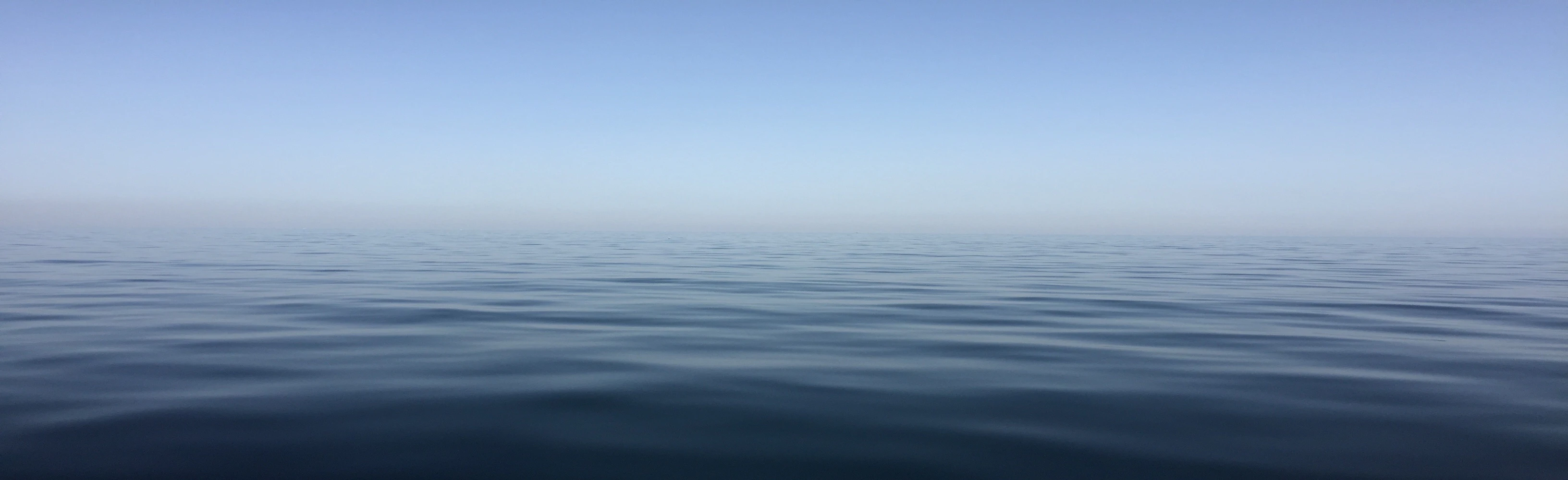 Oleksii Trekhleb cover