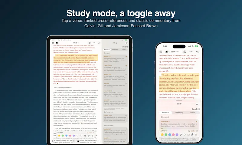 Scripture Alone screenshot 2