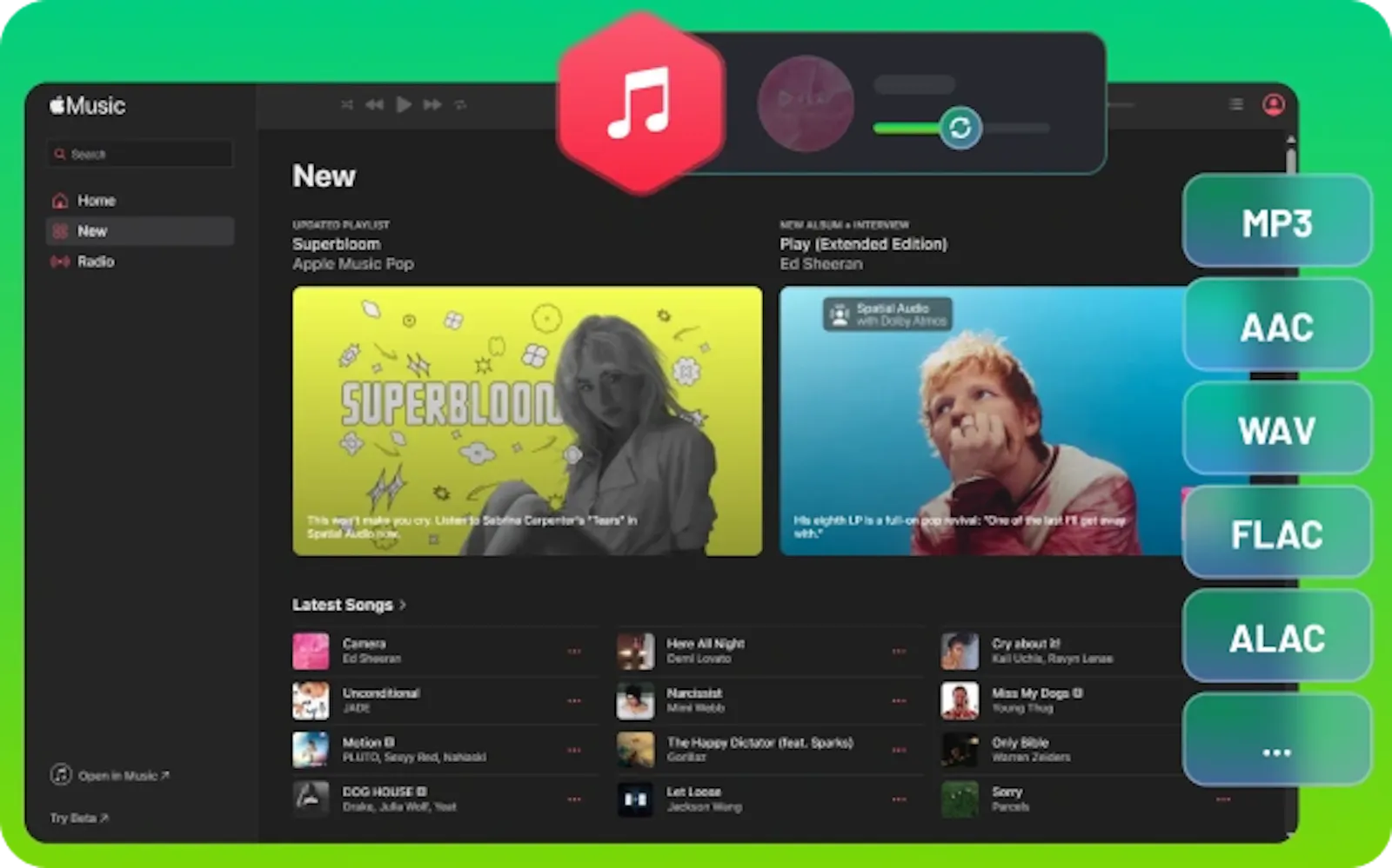 Sidify Apple Music Converter screenshot 2