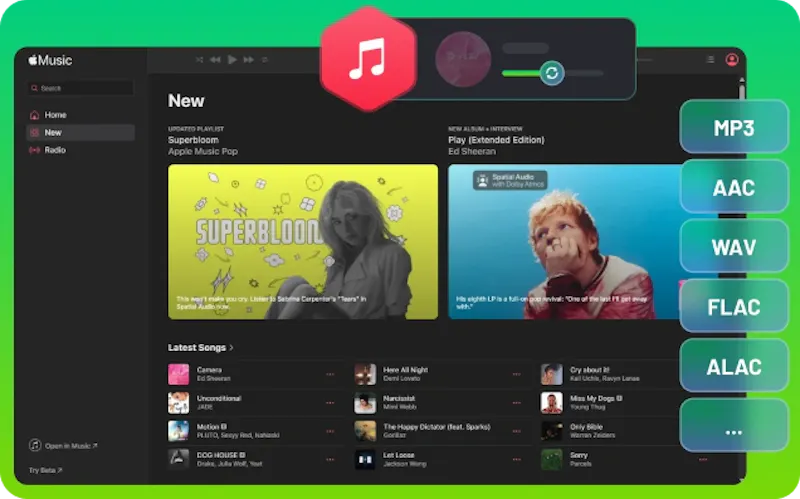 Sidify Apple Music Converter screenshot 2