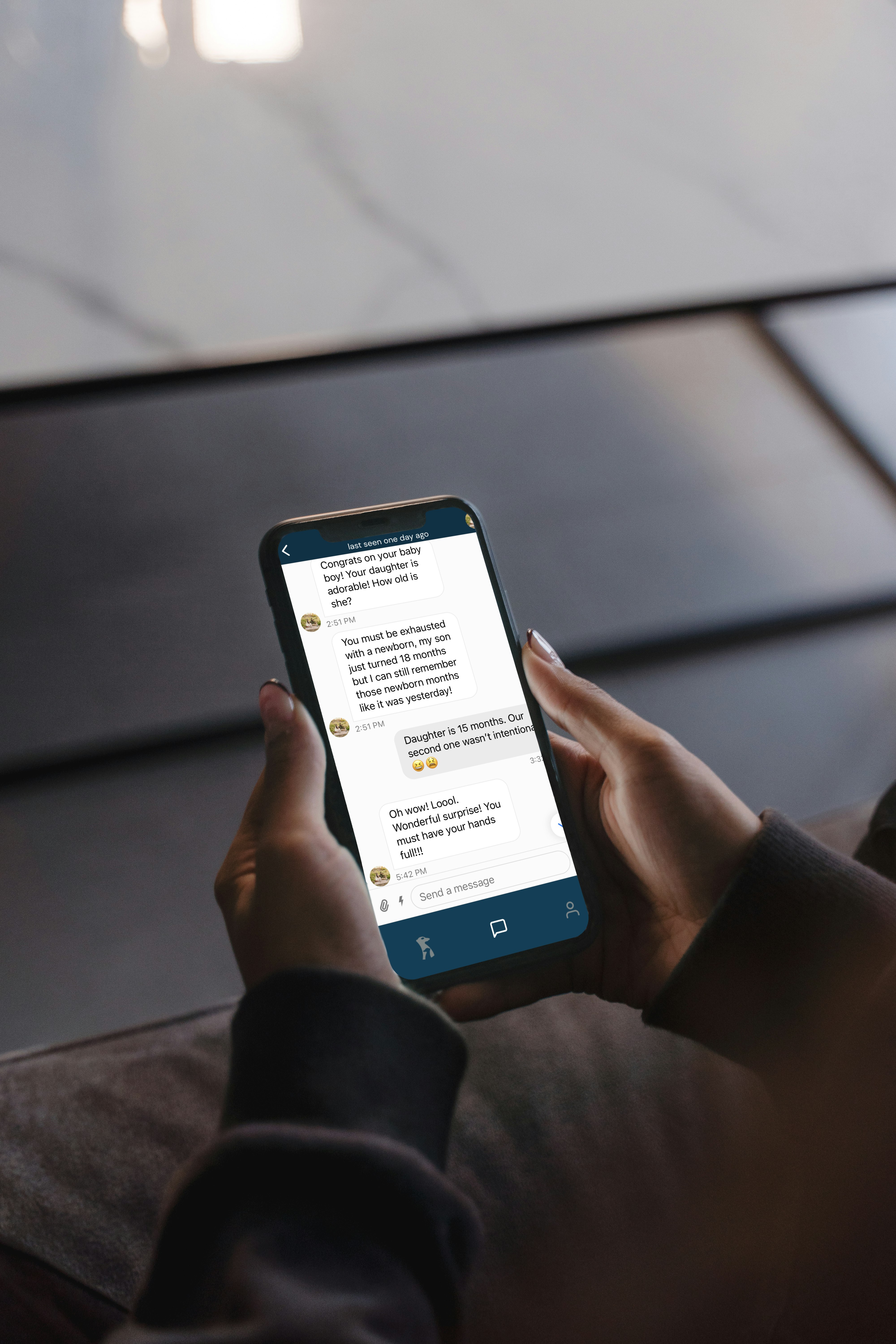 Meerkat gallery image