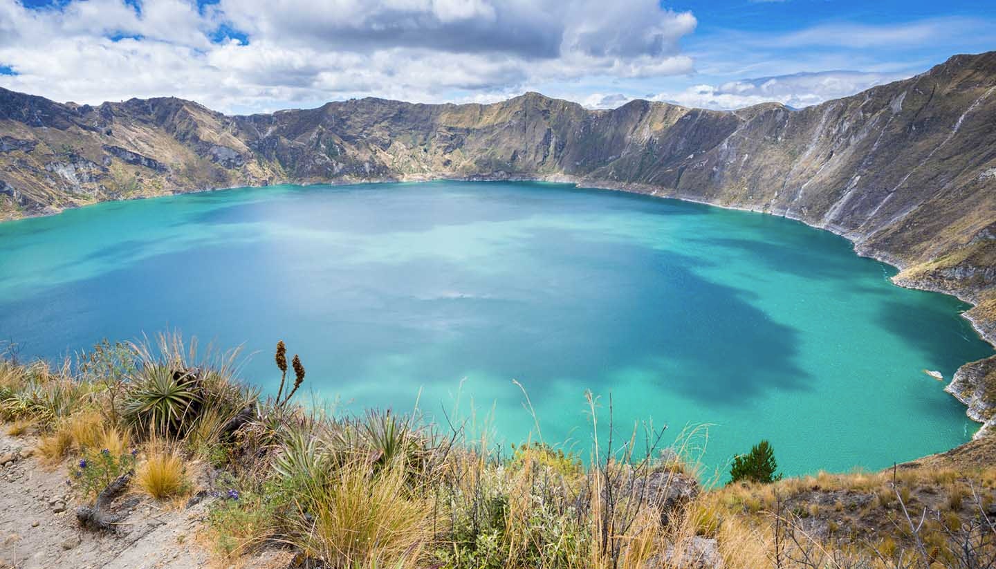 Firefly List gallery image