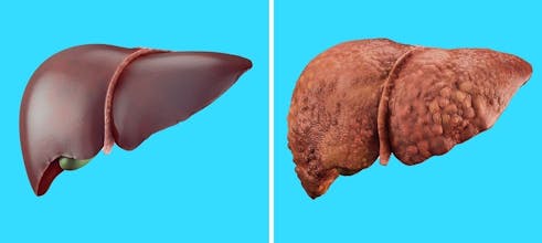 Food News gallery image