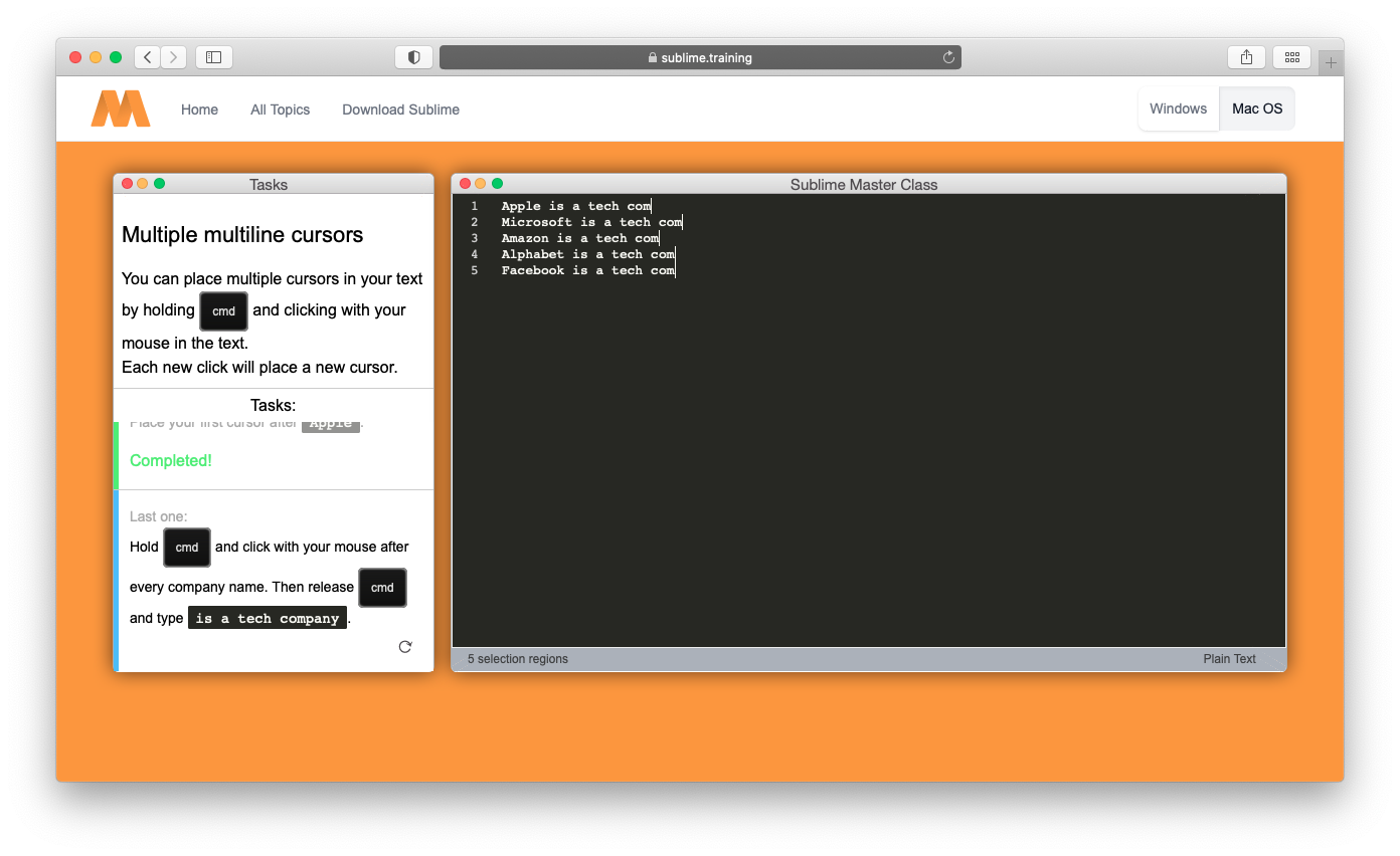 Sublime Text Master Class gallery image