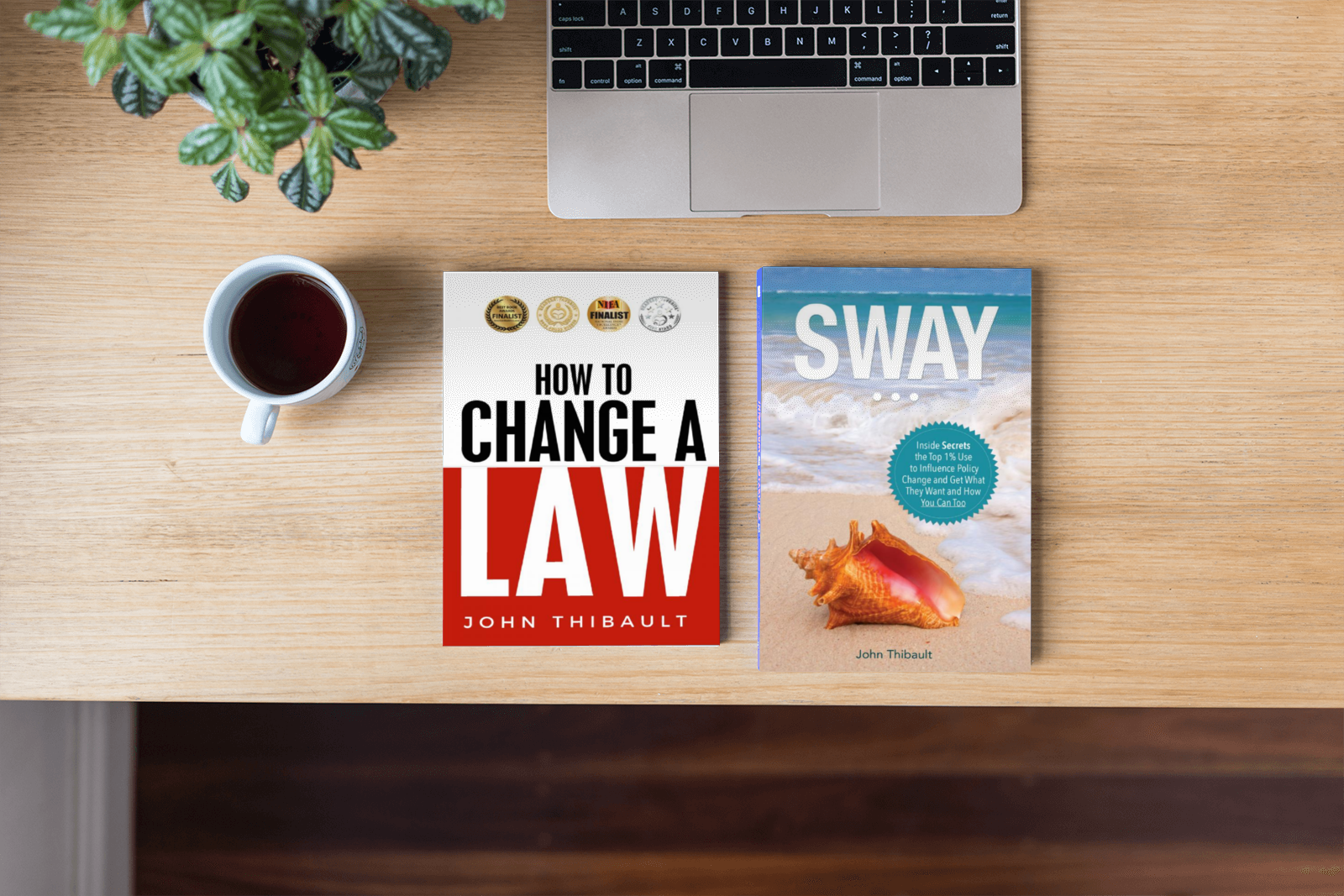 Free Books | How To Change A Law | Sway