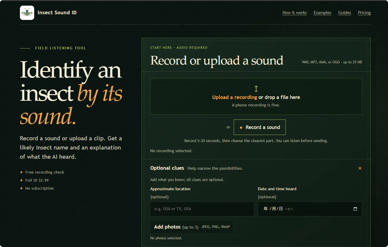 Insect Sound ID gallery image