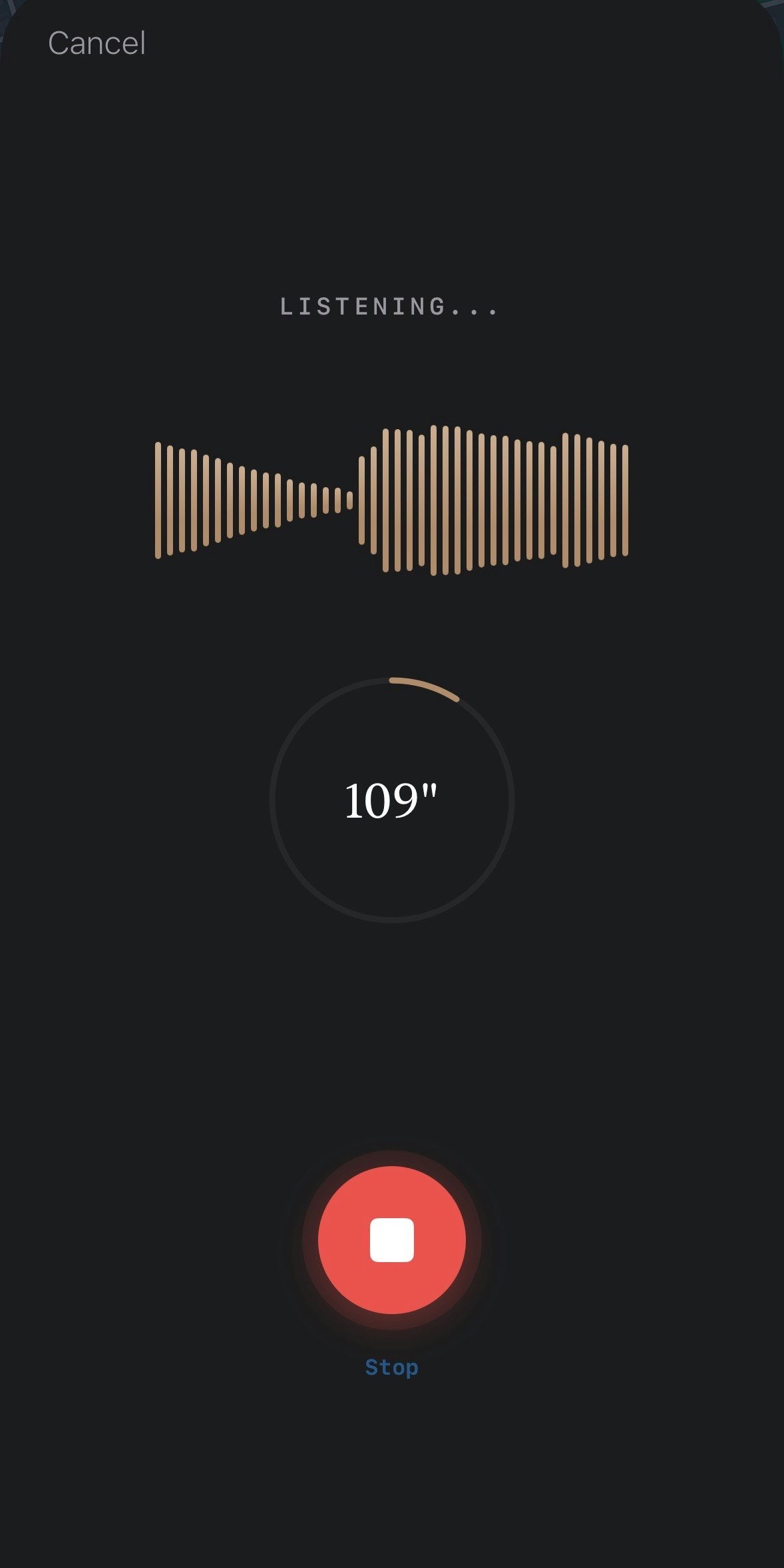 Sonorae gallery image