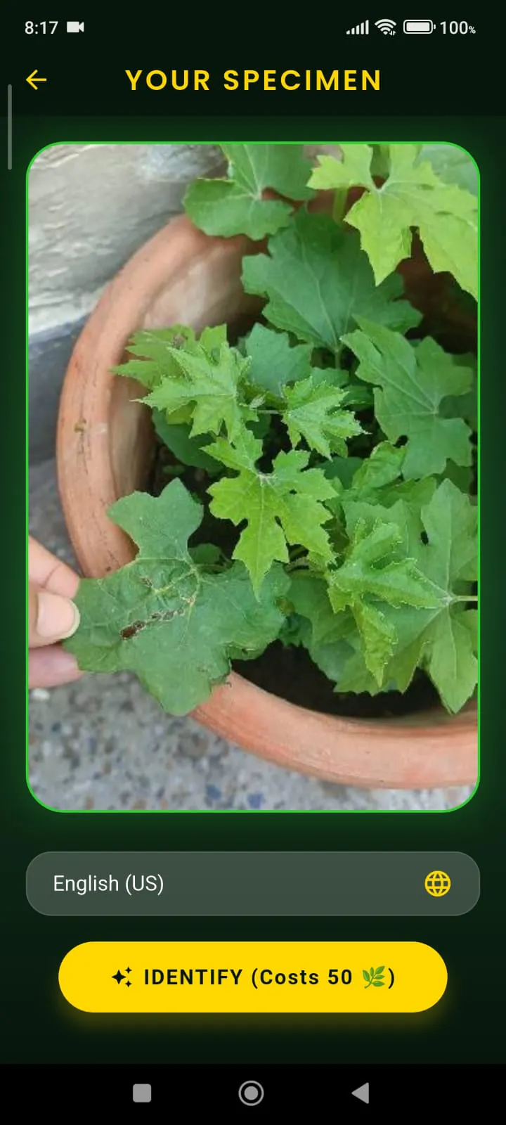 Plant Finder — Identify Plants & Doctor  gallery image