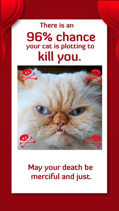 Is your cat plotting to kill you? gallery image