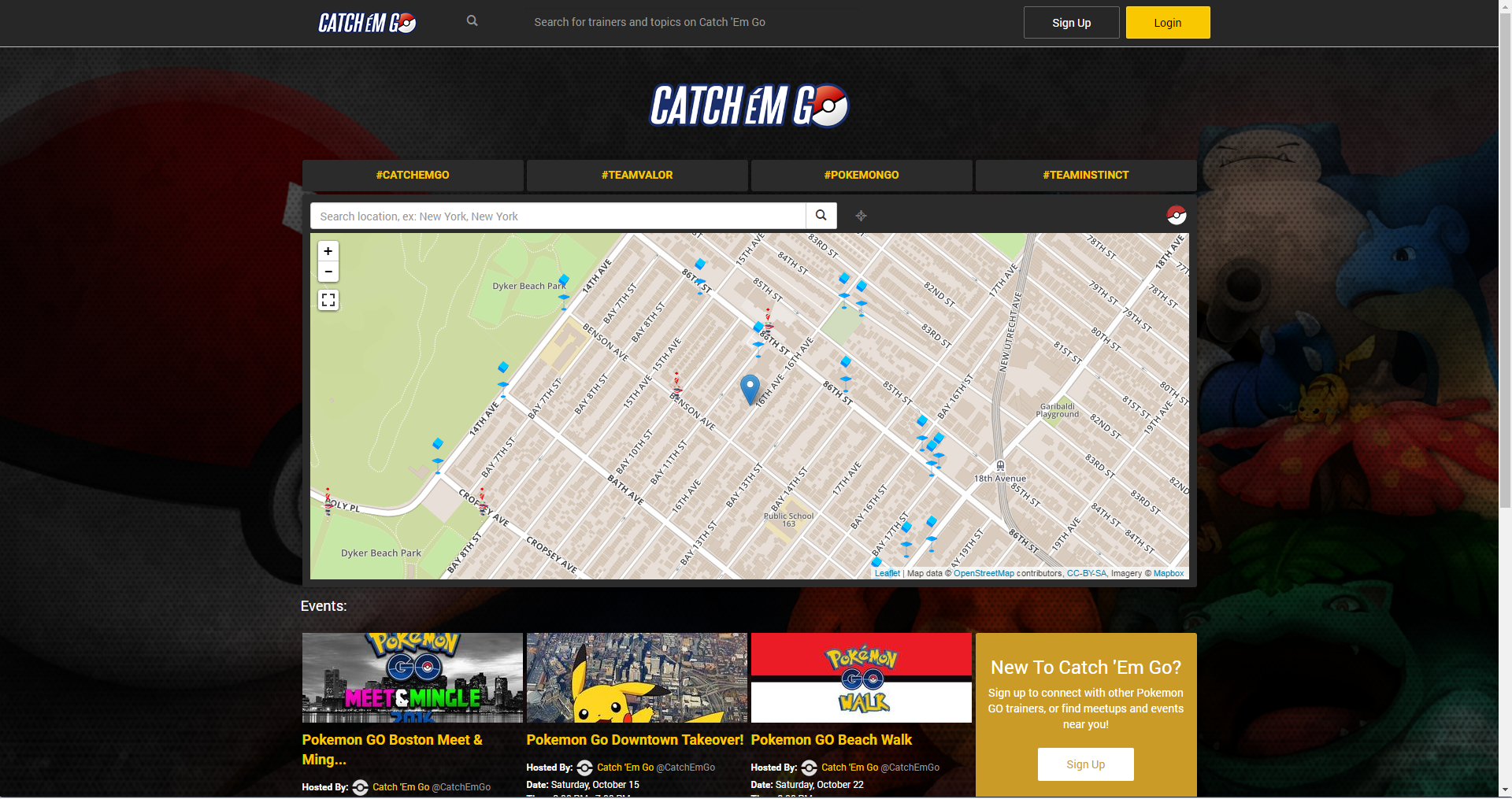 Catch 'Em Go gallery image