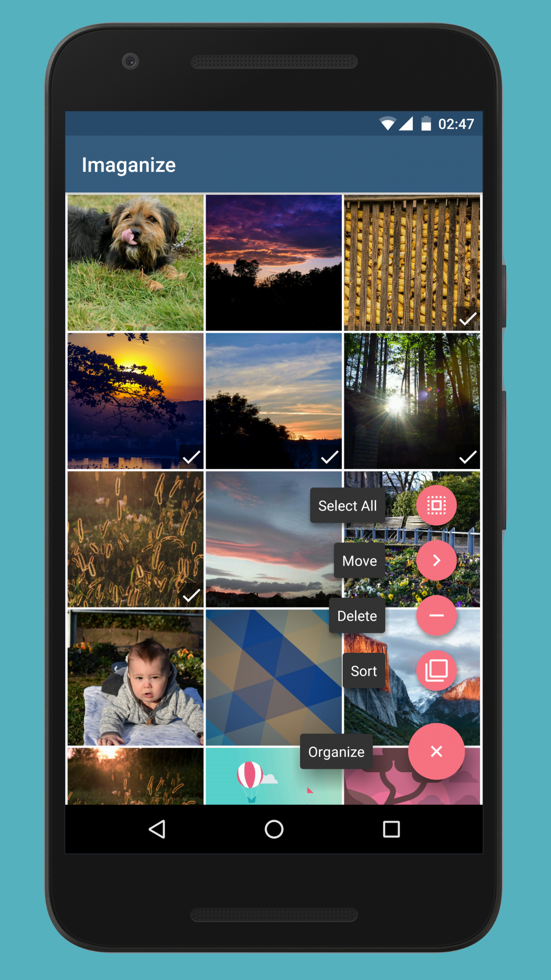 Photo Organizer gallery image