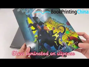 Best Slipcase Manga Printing Services gallery image