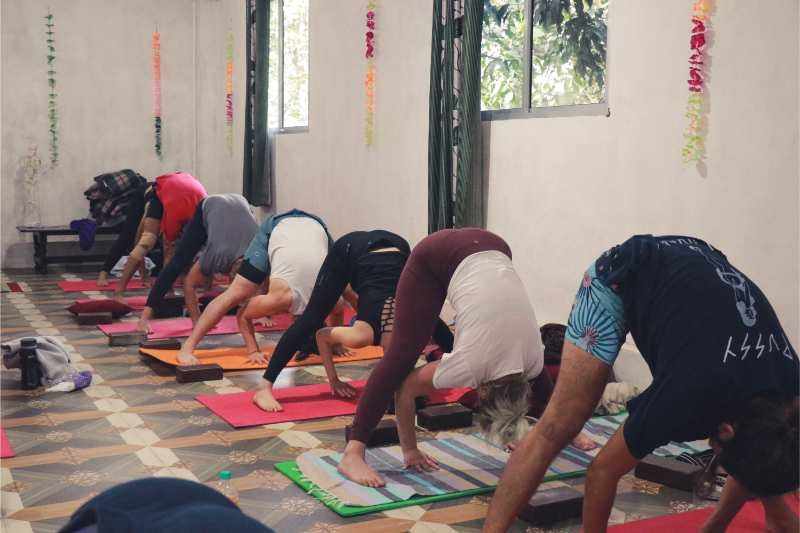 yoga teacher training in rishikesh gallery image