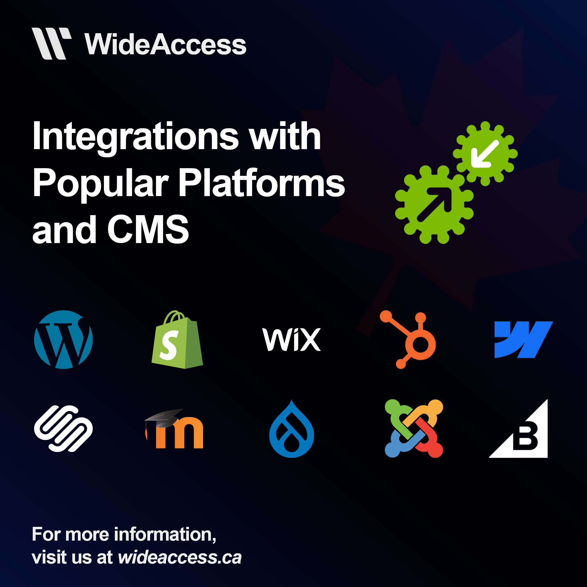 WideAccess Accessibility Widget gallery image