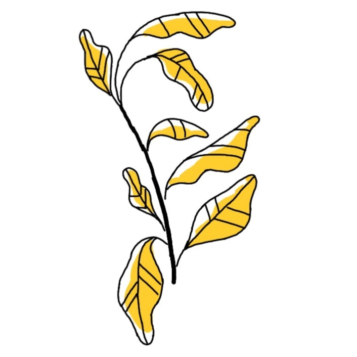 Your Social Media Footprint gallery image