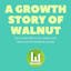 Growth Study of Walnut