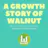 Growth Study of Walnut