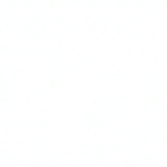 ReplyBird AI - Product Hunt launch logo and brand identity