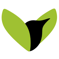 Visioweaver