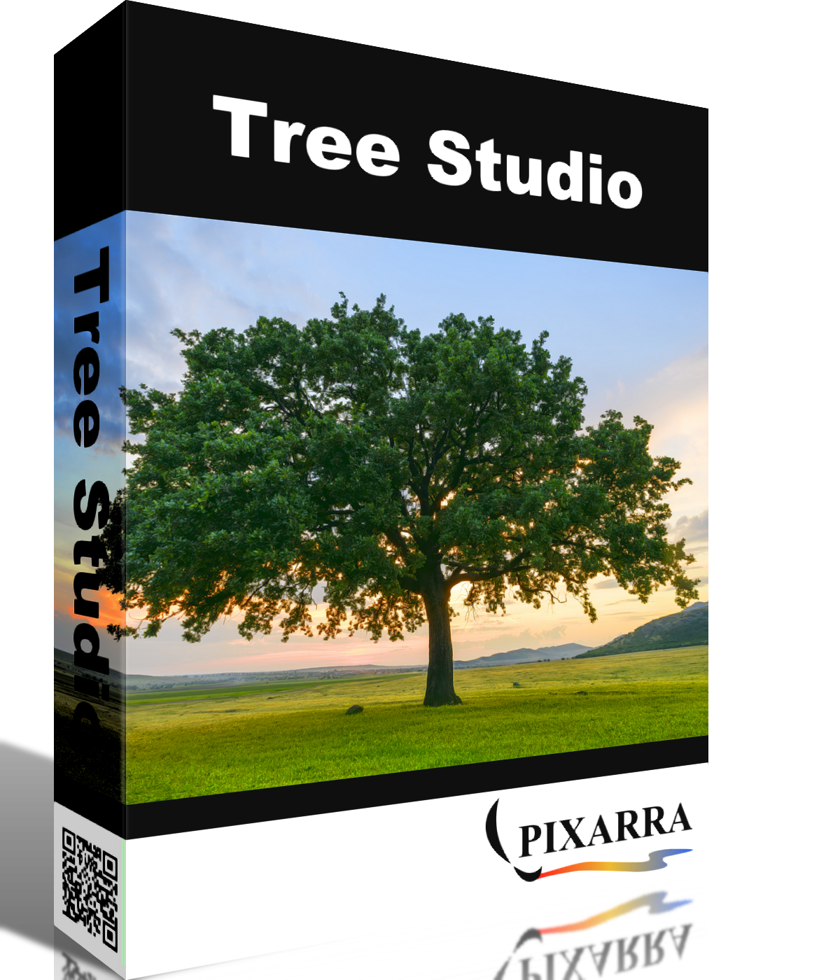 Tree Studio