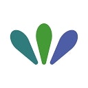 Surveva: global social polling