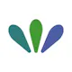 Surveva: global social polling