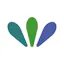 Surveva: global social polling