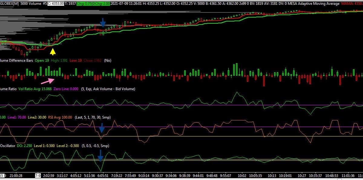 hedonesiano gallery image