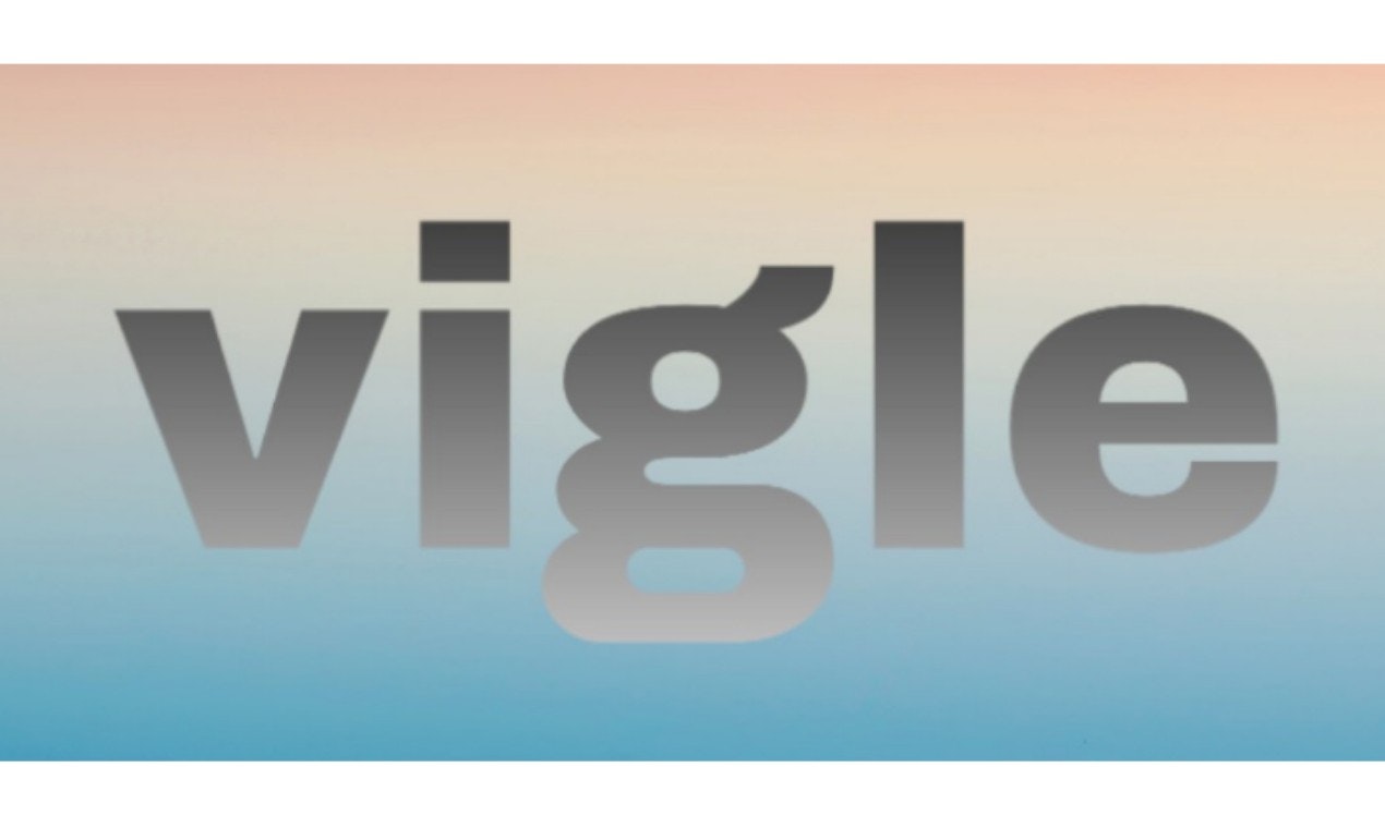 vigle app gallery image
