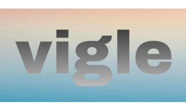 vigle app gallery image