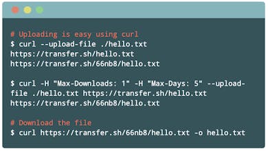 transfer.sh gallery image