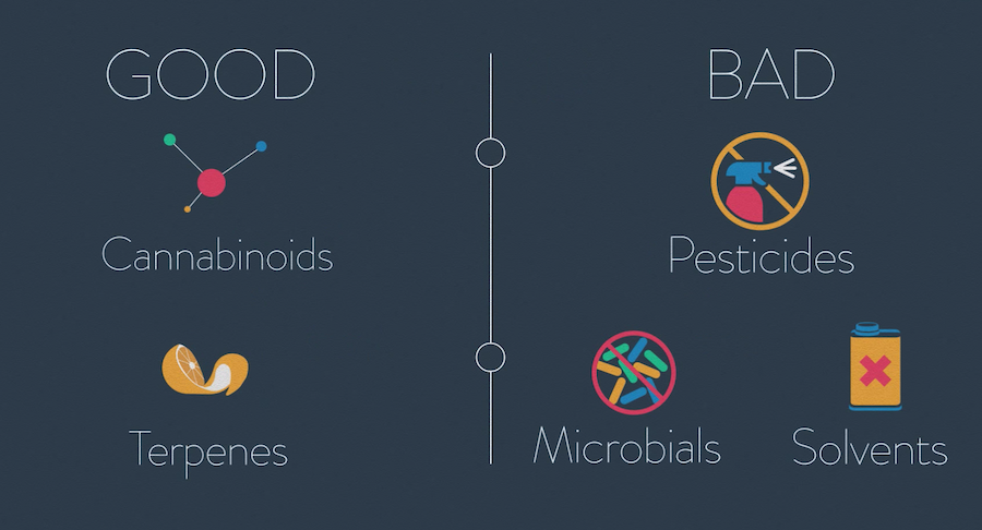 Confident Cannabis gallery image