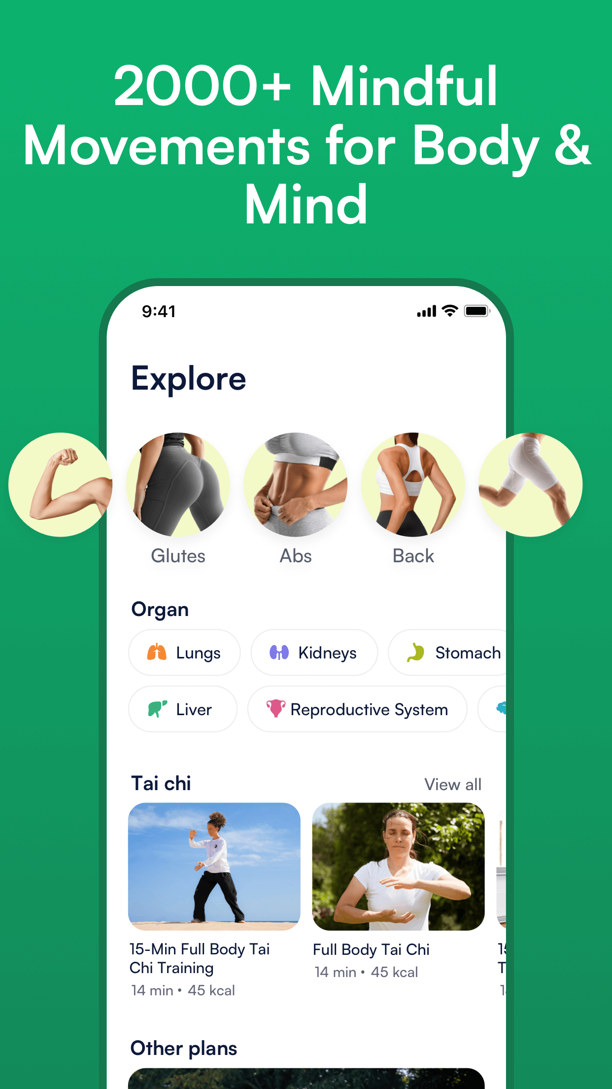 zenfit media 5