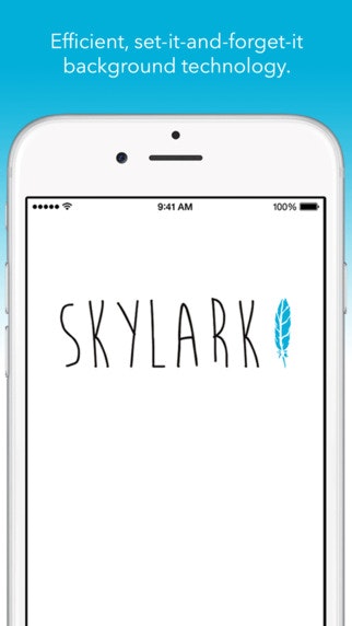 Skylark gallery image