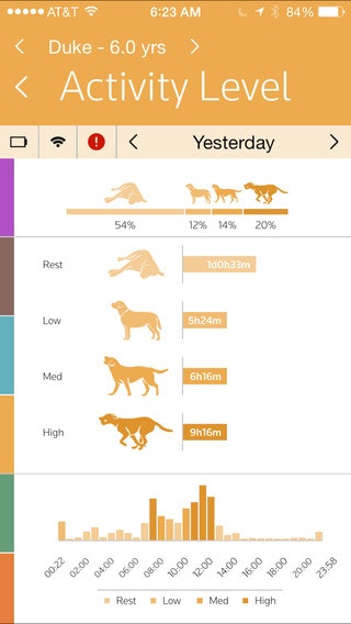 Pet Pace gallery image